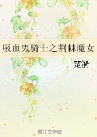 (吸血鬼骑士同人)吸血鬼骑士之荆棘魔女