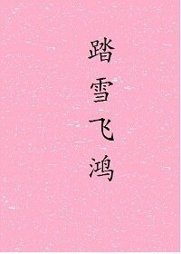 《踏雪飞鸿》