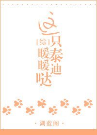 （家教同人）这只泰迪暖暖哒[综]