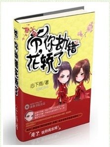 爷,你劫错花轿了