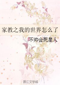 （家教同人）家教之我的世界怎么了