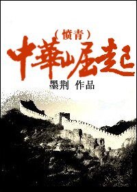 《(综小说同人)中华崛起》