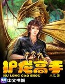 护龙高手