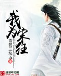 我为宋狂