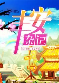 丰安杂记
