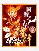 《网游之火的解释》