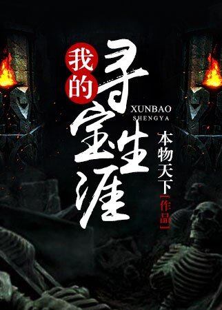《我的寻宝生涯》