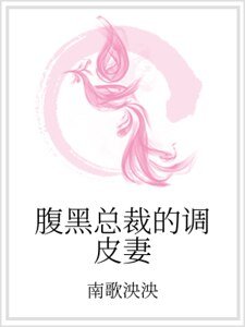 腹黑总裁的调皮妻