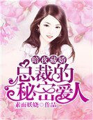暗夜藏娇：总裁的秘密爱人
