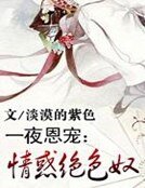 一夜恩宠：情惑绝色奴