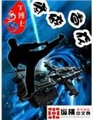 武碎星空