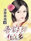 吾家夫郎有点多