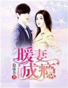 暖妻成瘾
