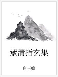 紫清指玄集