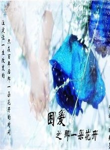 《困爱之那一朵花开》