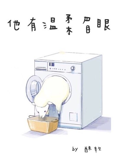 《他有温柔眉眼》