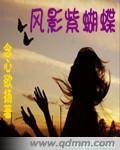 《风影紫蝴蝶》