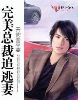 《完美总裁追逃妻》