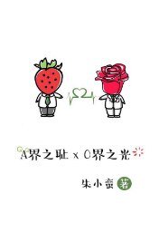 《A界之耻与O界之光》