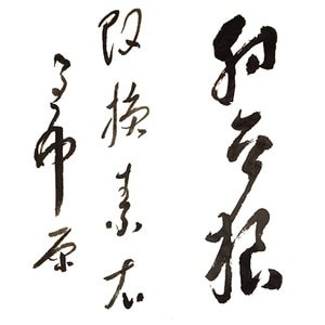 （盗墓笔记同人）射天狼