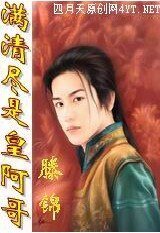 满清尽是皇阿哥