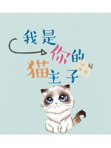 我是你的猫主子