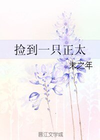 捡到一只正太