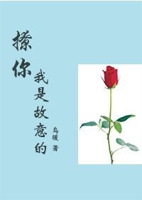 撩你我是故意的/直男大叔睡了我
