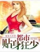 都市贴身狂少