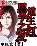 黑道学生之红发