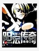 海贼之阳宏传奇