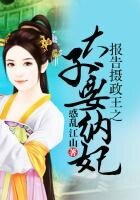 报告摄政王之太子要纳妃