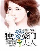 《追妻不容易:独爱豪门夫人》