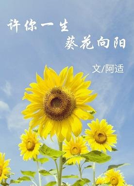许你一生，葵花向阳