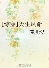 （综同人）[综穿]天生凤命