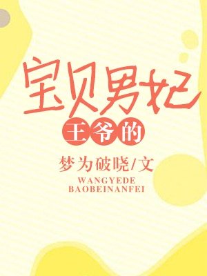 王爷的宝贝男妃