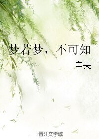 梦若梦，不可知