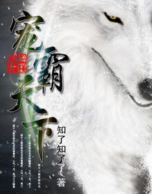 宠霸天下