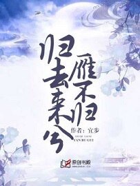归去来兮雁不归