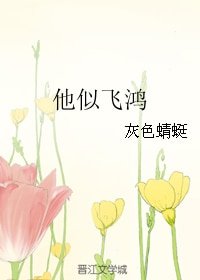 《他似飞鸿》