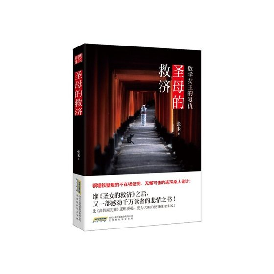 《圣母的救济:数学女王的复仇(出书版)》