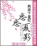 两弃下堂妃---恋恋夏影