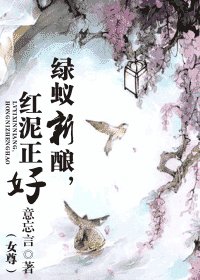 绿蚁新酿，红泥正好（女尊）