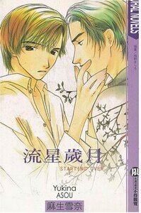 流星岁月(出书版)