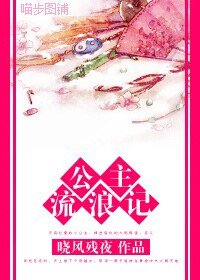 公主流浪记