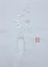 《雪铃兰》