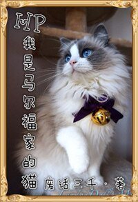 （HP同人）我是马尔福家的猫
