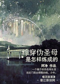 （综同人）[综穿]伪圣母是怎样炼成的