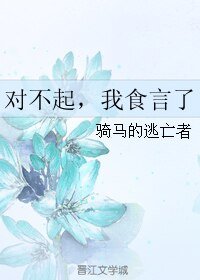 对不起,我食言了