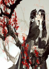 《(综同人)凝凰同人之一生征战何人陪》